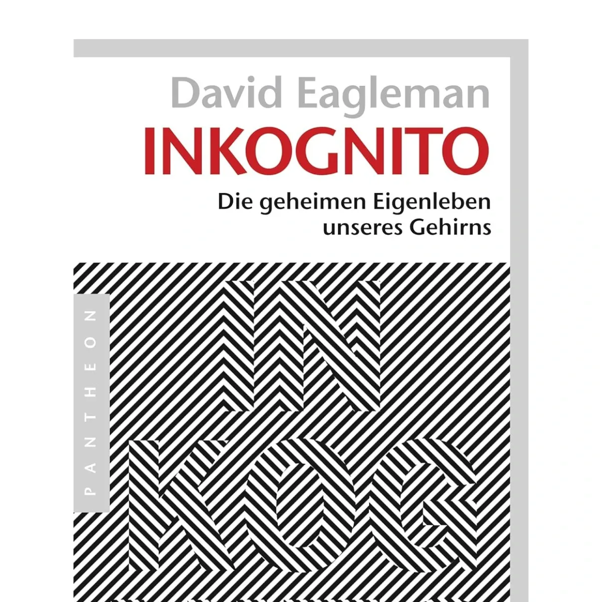 Inkognito: Die geheimen Eigenleben unseres Gehirns
